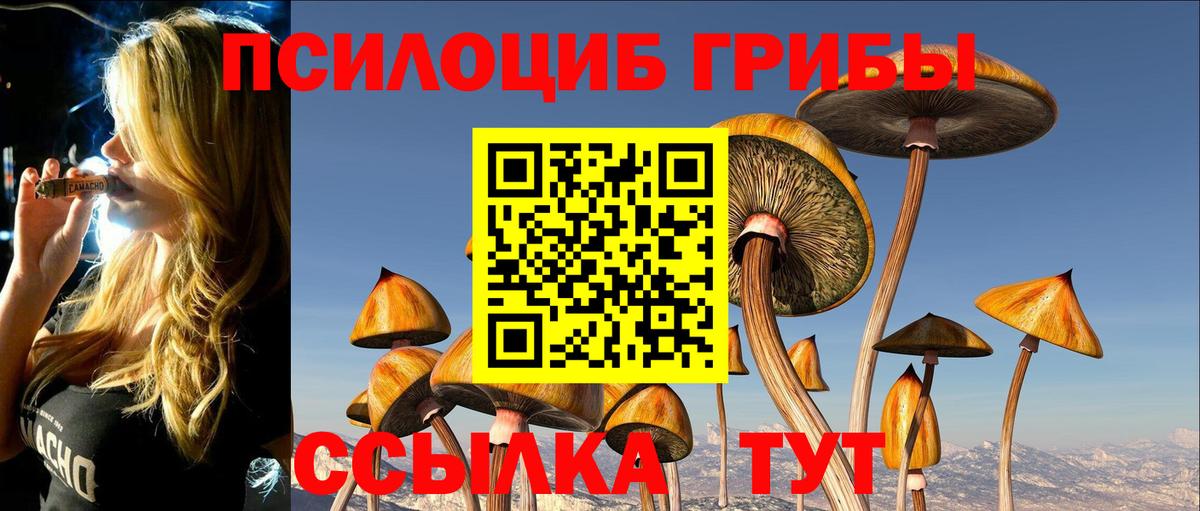 Галлюциногенные грибы мицелий  Вход с VPN  закладки  Белгород 